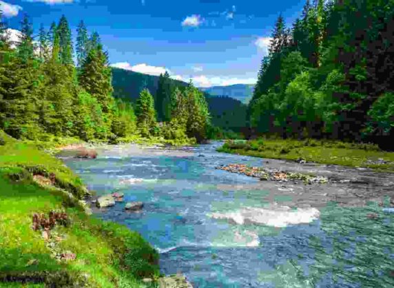 Fern Hills River